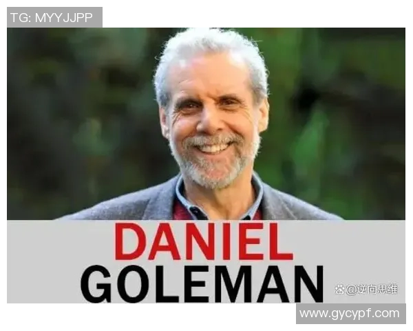 球迷行为学研究：从情感认同到社会互动的多维度分析与探讨